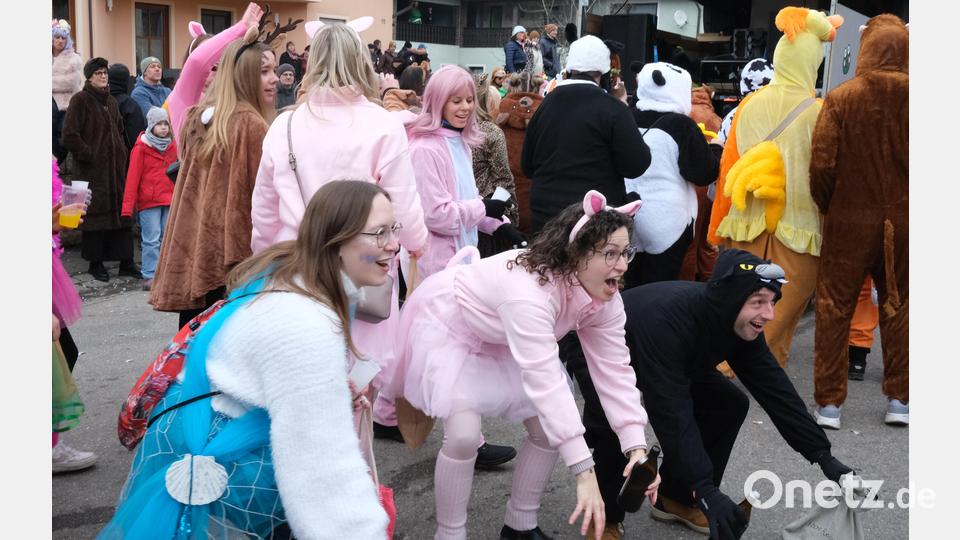 Eine "La-Ola-Welle" für die gut gelaunten Gäste beim Stullner Faschingszug. Bild: Hirsch