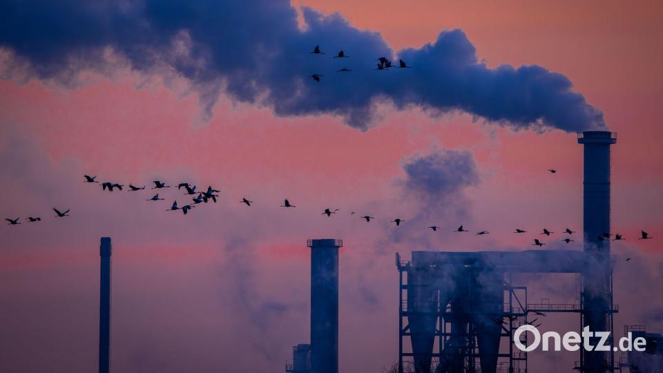 Die Lage der Industrie ist angespannt, 2026 drohen neue Einschnitte. (Symbolbild) Bild: Jens Büttner/dpa