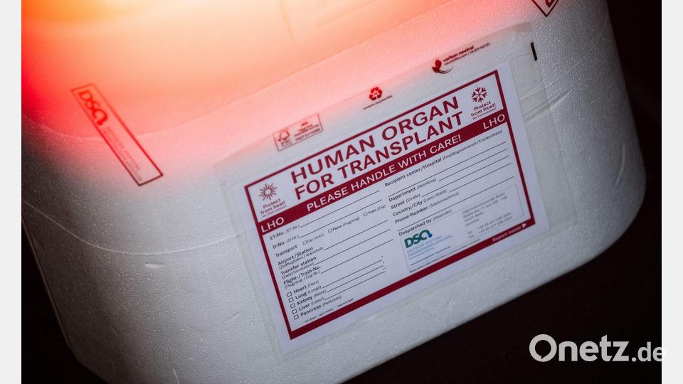 Die Ersatzorgane werden in einer Kühlbox transportiert. (Symbolbild) Bild: Sebastian Gollnow/dpa