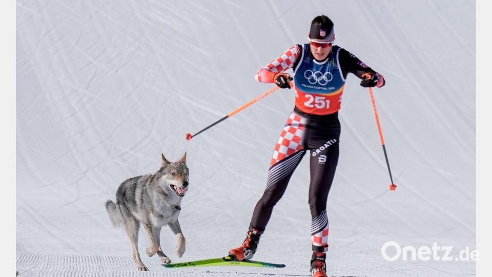 Olympia, Olympische Winterspiele Mailand Cortina 2026, Ski nordisch/Langlauf, Team Sprint Freistil, Frauen, Qualifikation, ein Hund läuft hinter Tena Hadzic (Kroatien) her. Bild: Terje Pedersen/NTB/dpa