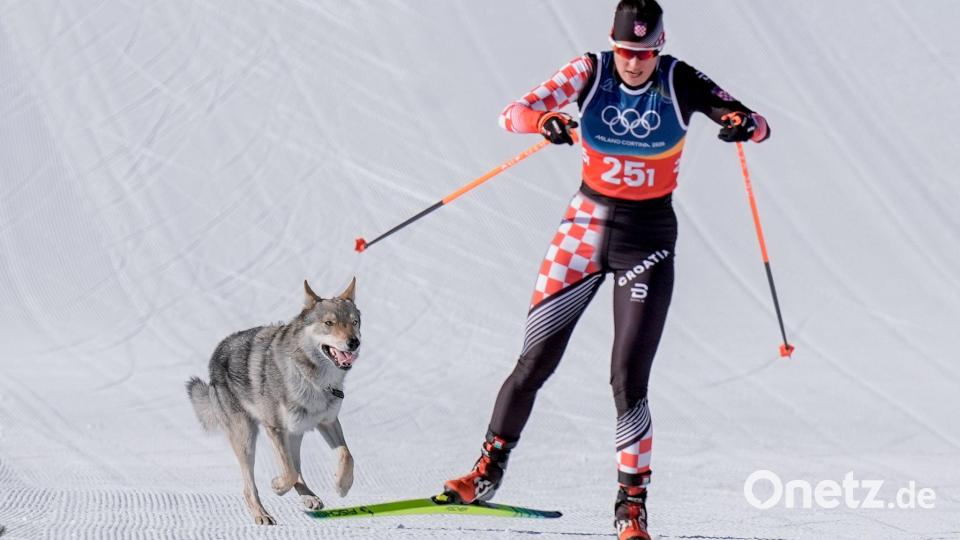Ein Hund auf Abwegen sorgte für kuriose Szenen beim Langlauf. Bild: Terje Pedersen/NTB/dpa