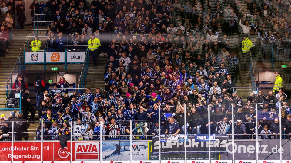 Szenen aus dem Oberpfalz-Derby zwischen den Eisbären Regensburg und den Blue Devils Weiden. Die Weidener mussten sich am Ende nach Penaltyschießen mit 3:4 geschlagen geben. Bild: Werner Moller