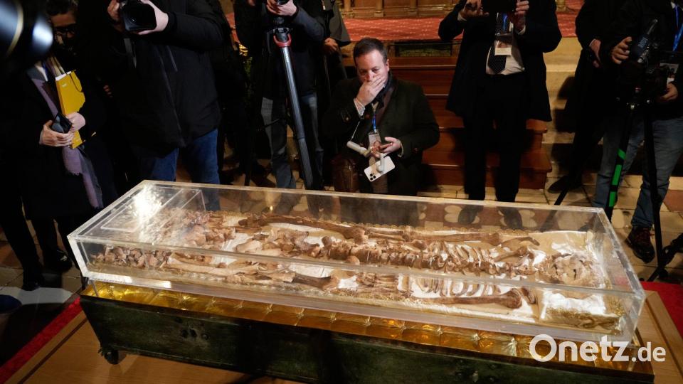 Assisi ist schon seit geraumer Zeit eines der beliebtesten christlichen Pilgerziele der Welt. Bild: Gregorio Borgia/AP/dpa