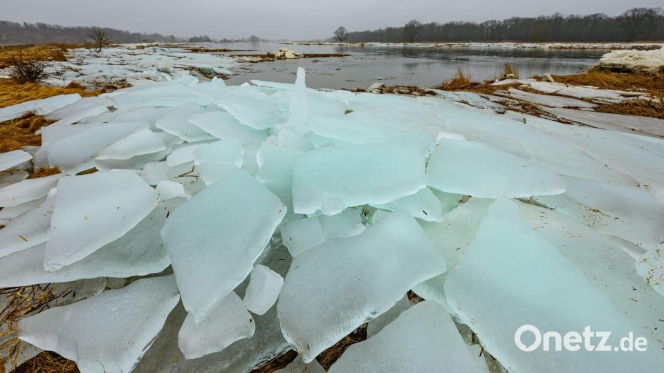Eisplatten an der Oder Bild: Patrick Pleul/dpa
