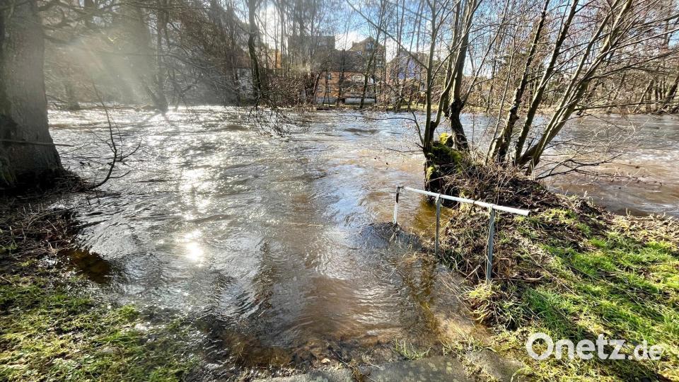 Die Waldnaab bei Neustadt tritt über die Ufer. Bild: Gabi Schönberger