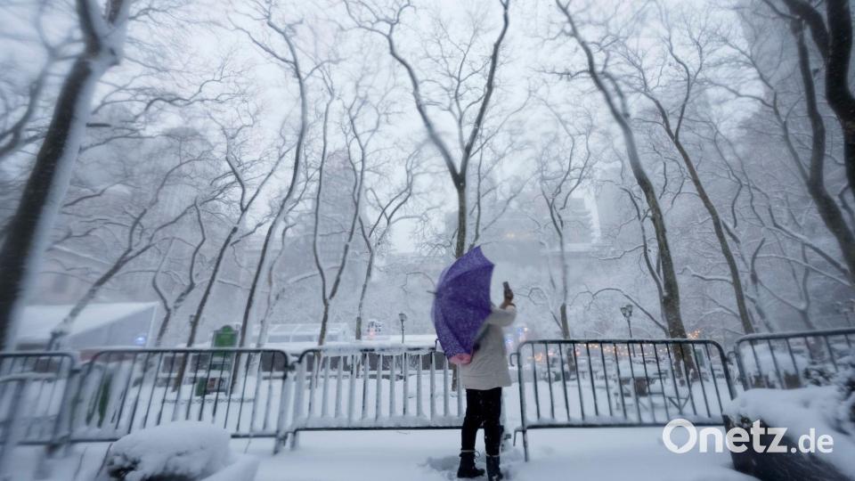 In einigen Parks der Stadt entstanden ganze Armadas von Schneefiguren. Bild: Seth Wenig/AP/dpa