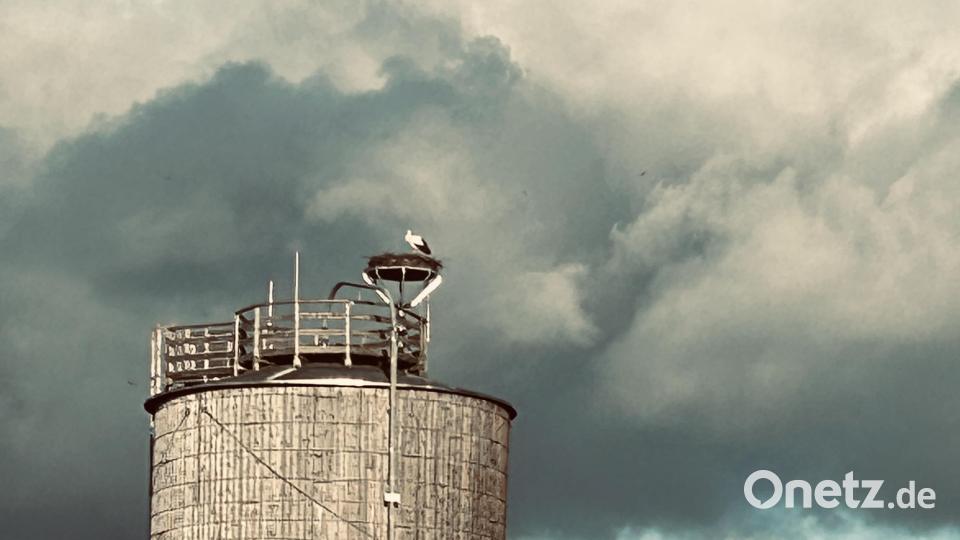 Am Dienstag ist der Storch in den Vohenstraußer Horst auf dem Salzsilo am städtischen Bauhof zurückgekehrt. Bild: dob