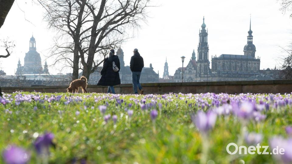 Frühlingshaftes Wetter kündigt sich schon vor dem meteorologischen Frühlingsbeginn am 1. März an. Bild: Sebastian Kahnert/dpa