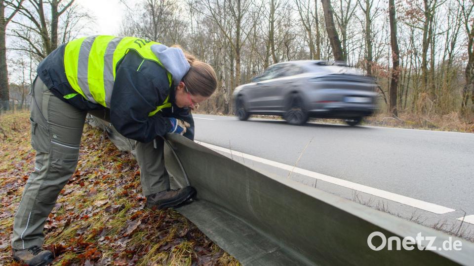 Naturschützer stellen an neuralgischen Stellen Amphibienschutzzäune an Straßen auf. Der Wechsel von strengem Frost hin zu milden Temperaturen mit feuchten Nächten lässt die jährliche Amphibienwanderung einsetzen. Symbolbild: Klaus-Dietmar Gabbert/dpa