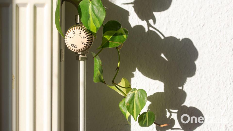 Die schwarz-rote Koalition hat die Weichen beim Heizungsgesetz neu gestellt. Bild: Fernando Gutierrez-Juarez/dpa