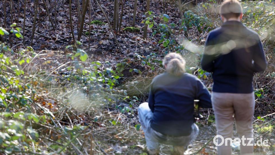 In diesem Waldstück in Duisburg wurde die Leiche einer Frau gefunden. Bild: Christoph Reichwein/dpa