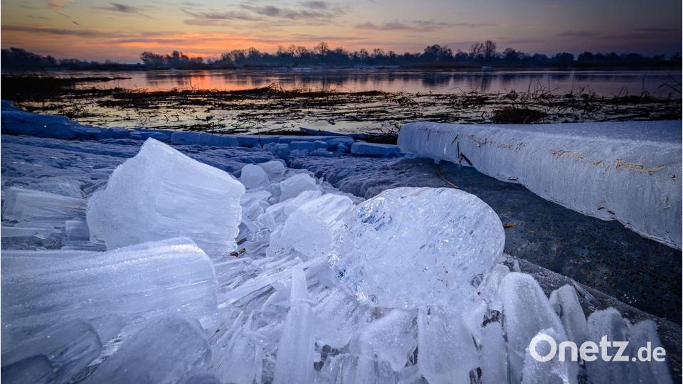 Eisschollen an der Oder Bild: Patrick Pleul/dpa