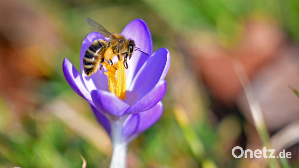 Die Temperaturen in Bayern steigen weiter. Bild: Malin Wunderlich/dpa