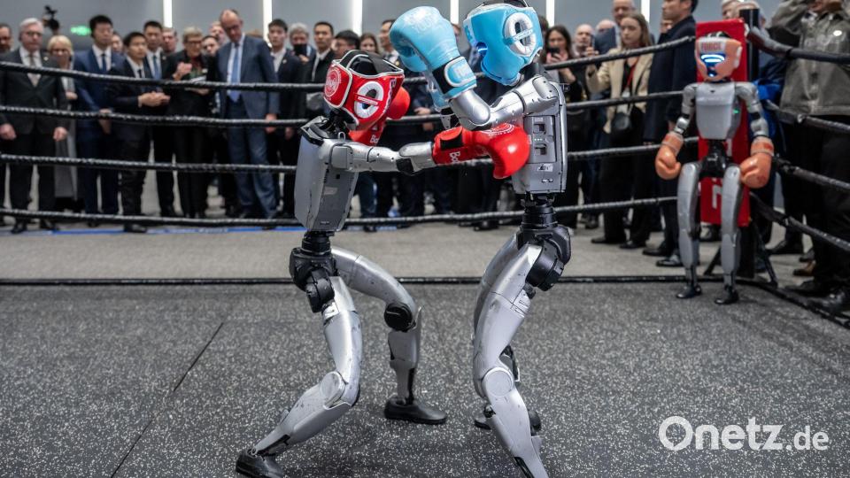 Boxkampf zwischen Robotern Bild: Michael Kappeler/dpa