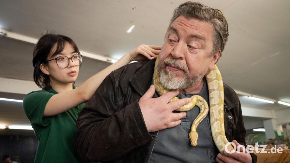 Ta (Purnima Grätz) versucht vergeblich, Günther Kuballa (Armin Rohde) mit einer Schlange zu erschrecken. Bild: --/WDR Kommunikation/Redaktion Bild/dpa