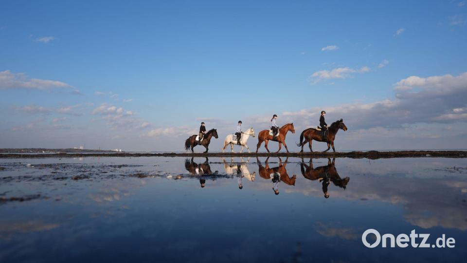 Ostseereiter am Strand Bild: Marcus Brandt/dpa