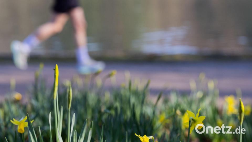 Ein Jogger läuft bei frühlingshaften Temperaturen am Adenauer Weiher im Stadtwald von Köln. Bild: Rolf Vennenbernd/dpa