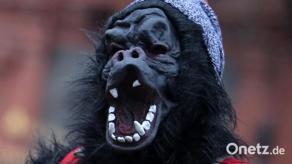 In der neuen Folge "Short Crimes" befasst sich das Podcast-Team von "Crime Daheim" mit einem Masskrug werfenden Gorilla in Rieden und mit dem falschen Eberhofer in Moosbach. Symbolbild: Fredrik von Erichsen /dpa