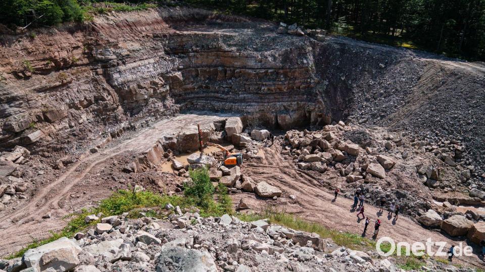 In diesem Steinbruch wurden 2021 die Funde gemacht, die nun ausgestellt werden. (Archivbild) Bild: Nicolas Armer/dpa