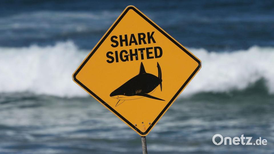 Haiangriffe haben sich an Australiens Ostküste zuletzt gehäuft. (Archivbild) Bild: Mark Baker/AP/dpa