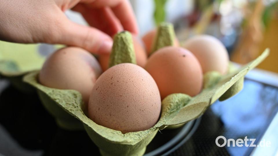Einen Notstand bei der Eier-Versorgung gibt es nicht - aber Lücken in den Regalen der Händler. (Symbolbild) Bild: Elisa Schu/dpa