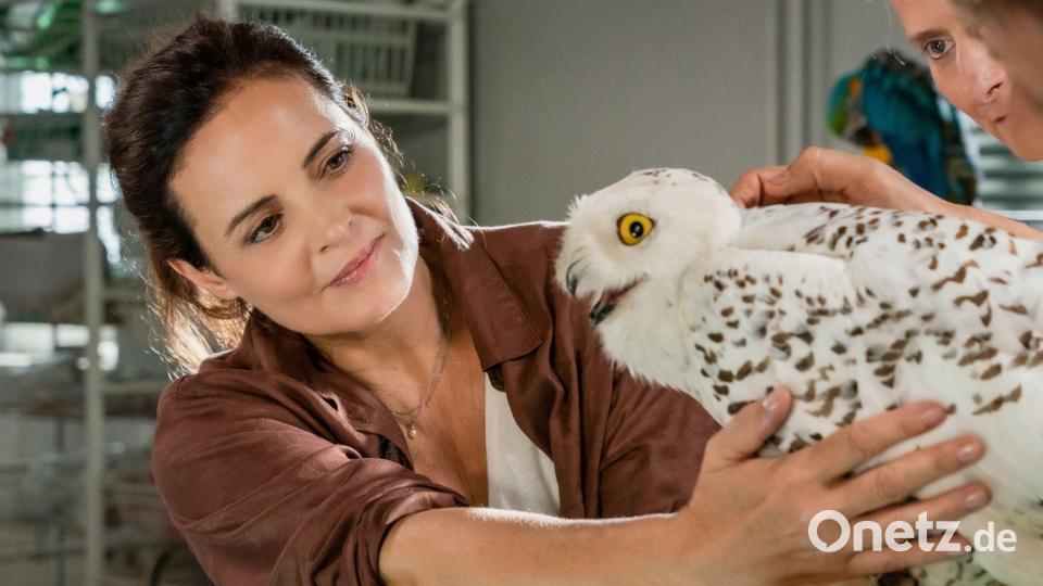 Elisabeth Lanz spielt schon seit 2006 die Tierärztin Dr. Susanne Mertens für die ARD. (Archivbild) Bild: Steffen Junghans/ARD/dpa