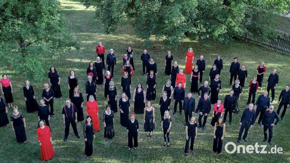 Der Weidener Kammerchor wirkt an dem Projekt "Singen mit Sir Simon" mit. Bild: Weidener Kammerchor