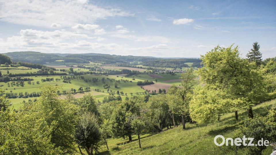 Der knapp 25 Kilometer lange Drei-Burgen-Weg führt über Hügel und durch Täler und bietet zahlreiche Aussichtspunkte auf den Spessart, das Sinntal und die Rhön. Bild: -/Spessart Tourismus und Marketing GmbH/dpa