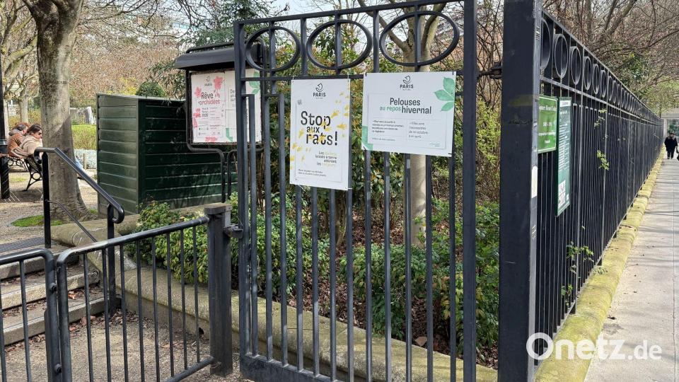 Parkanlagen, unterirdische Schächte und die Kanalisation sind bevorzugte Lebensräume der Pariser Ratten. Bild: Michael Evers/dpa