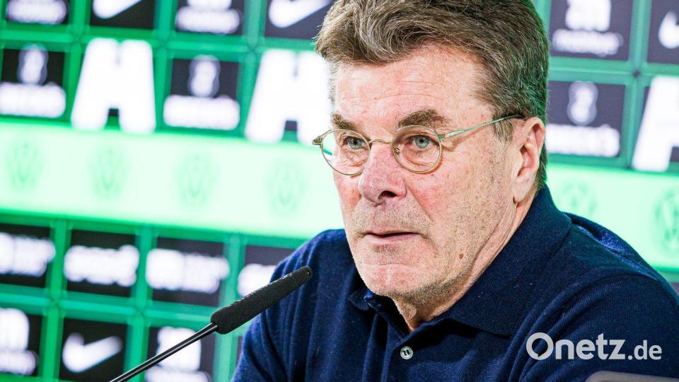 Wolfsburgs neuer Trainer Dieter Hecking Bild: Moritz Frankenberg/dpa