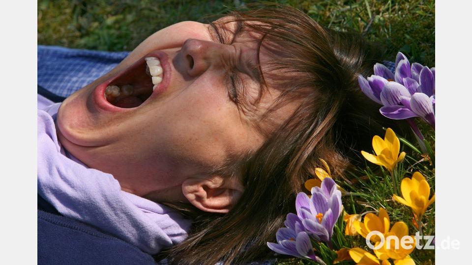 Eine Frau liegt auf einer mit Krokussen bewachsenen Wiese und gähnt. (Archivbild) Bild: picture alliance / Karl-Josef Hildenbrand/dpa