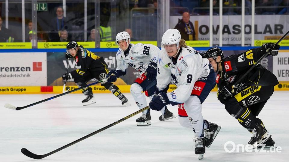 Neal Samanski (vorne, weißes Trikot) kehrte beim Spiel der Blue Devils Weiden bei den Krefeld Pinguinen nach Verletzung in den Kader zurück. Beobachtet wird er in dieser Situation von seinem Bruder Noah. Bild: Yvonne Brands