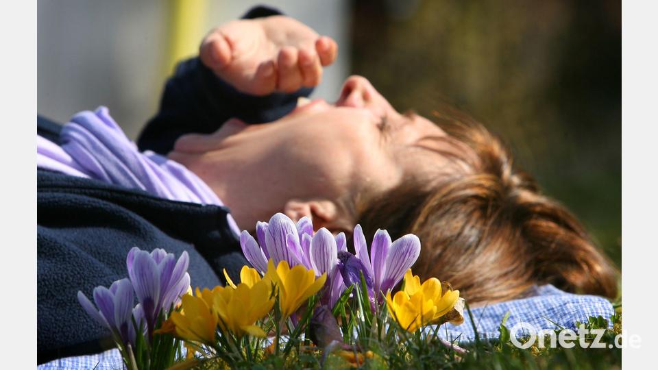 Eine Frau liegt auf einer mit Krokussen bewachsenen Wiese und gähnt. (Archivbild) Bild: picture alliance / dpa