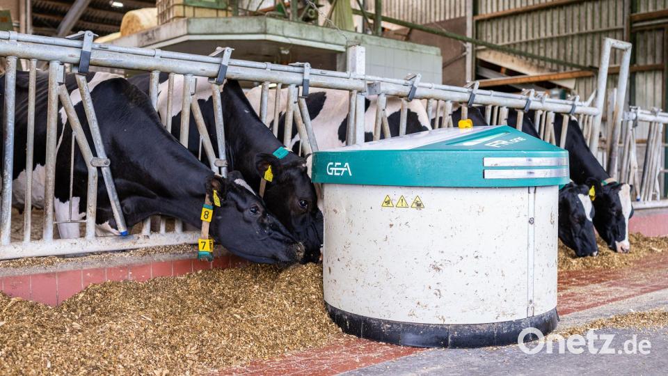 Melkroboter von Gea auf einem Bauernhof in Ahaus. (Archivbild) Bild: Guido Kirchner/dpa