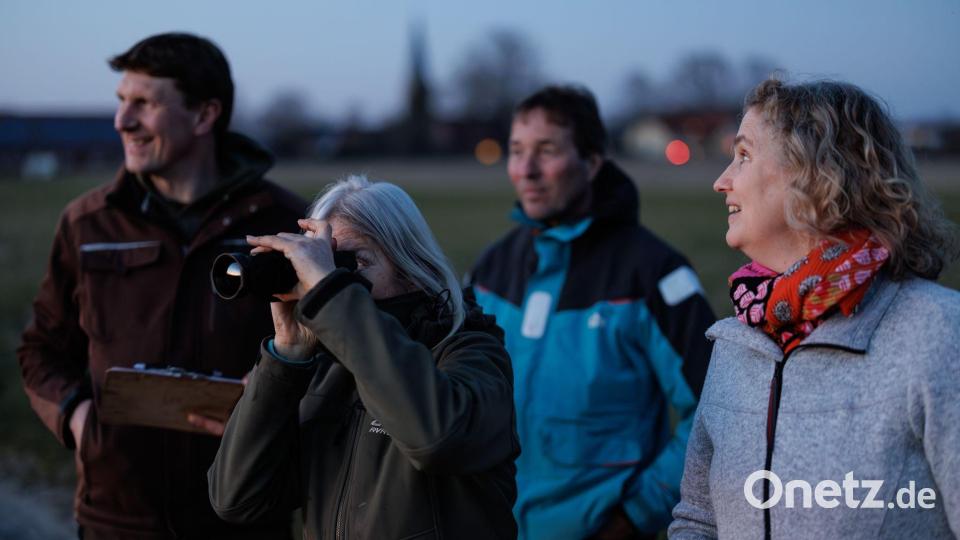 Freiwillige Helfer begleiten Umweltwissenschaftler Marcel Holy bei der Rebhuhn-Zählung. Sie sammeln dabei Erfahrungen, den Revierruf des Hahnes zu erkennen. Ein Nachtsichtgerät ist bei dieser Runde ein weiteres Hilfsmittel neben dem Lautsprecher. Bild: David-Wolfgang Ebener/dpa