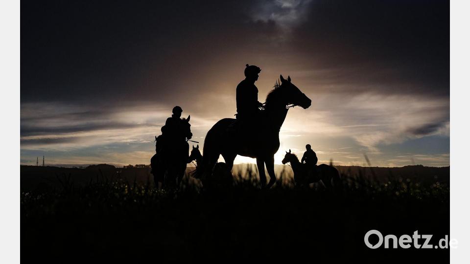 Reiter sind am Morgen auf der Galoppbahn in Cheltenham im Südwesten Englands unterwegs. Bild: Adam Davy/PA Wire/dpa