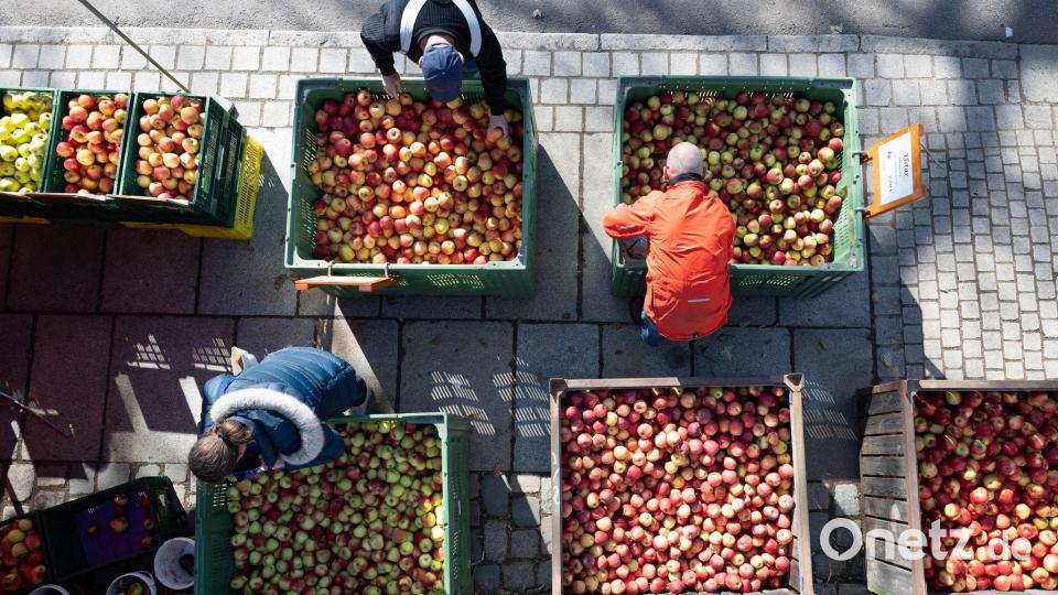 Die Lebensmittelpreise sind seit 2021 um rund ein Drittel gestiegen - mit dem Iran-Krieg droht neuer Preisdruck. Bild: Sebastian Kahnert/dpa