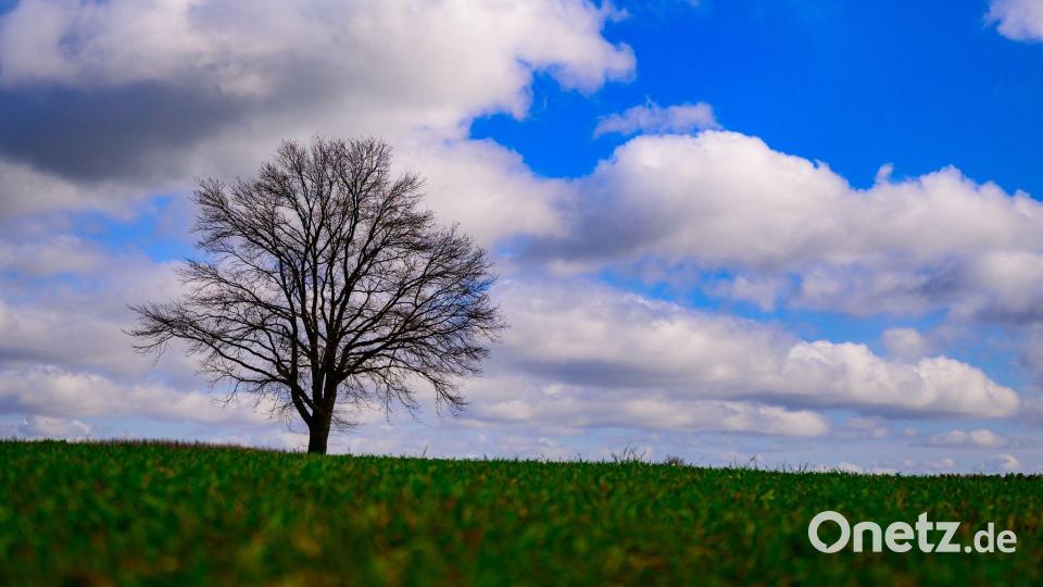 Landschaft kann so romantisch sein! Wolken ziehen über einen einzelnen Baum im südöstlichen Brandenburg. Bild: Patrick Pleul/dpa