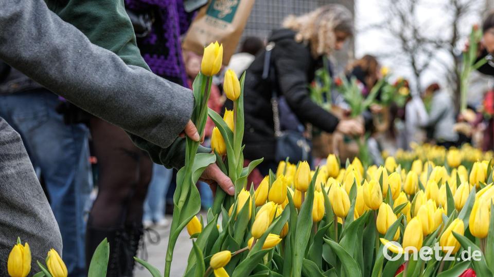 Besucher des "Tulip Day Berlin" am Breitscheidplatz wählen aus dem bunten Blumenangebot ihre Tulpen aus. Bild: Andreas Gora/dpa