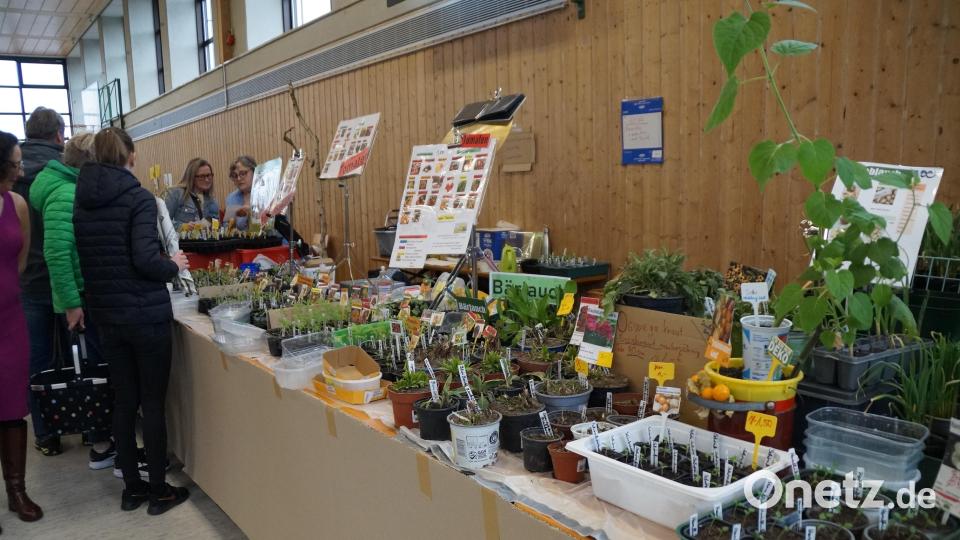 Samentütchen und Pflanzen konnte man beim Saatgutfestival erstehen. Die Samen kann man immer wieder abnehmen und neu aussäen. Bild: wel