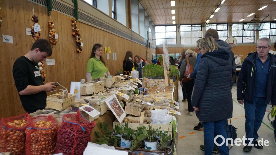 Nicht alltägliche Pflanzkartoffeln und viele verschiedene Bohnensorten waren im Angebot. Bild: wel