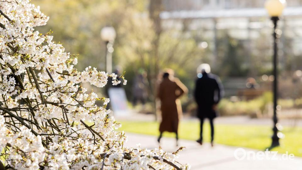 Menschen spazieren im botanischen Garten in Köln. Bild: Rolf Vennenbernd/dpa