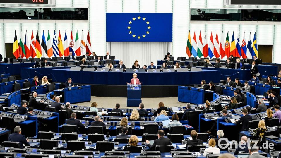 Die EVP ist im Europäischen Parlament die mit Abstand größte Fraktion - bei Abstimmungen braucht sich aber dennoch Partner. (Archivbild) Bild: Pascal Bastien/AP/dpa