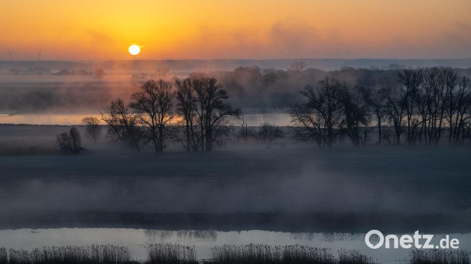 Sonnenaufgang im Nebel: Stimmungsvolle Morgenstimmung an der Oder Bild: Patrick Pleul/dpa