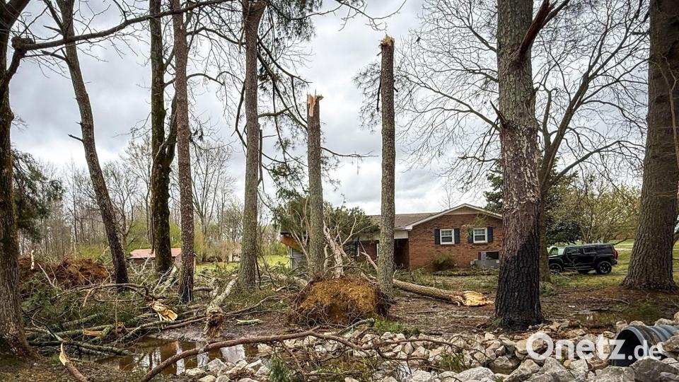 Umgestürzte und entwurzelte Bäume umgeben ein Haus in Lexington, Alabama. Bild: Dan Busey/TimesDaily/The TimesDaily/AP/dpa