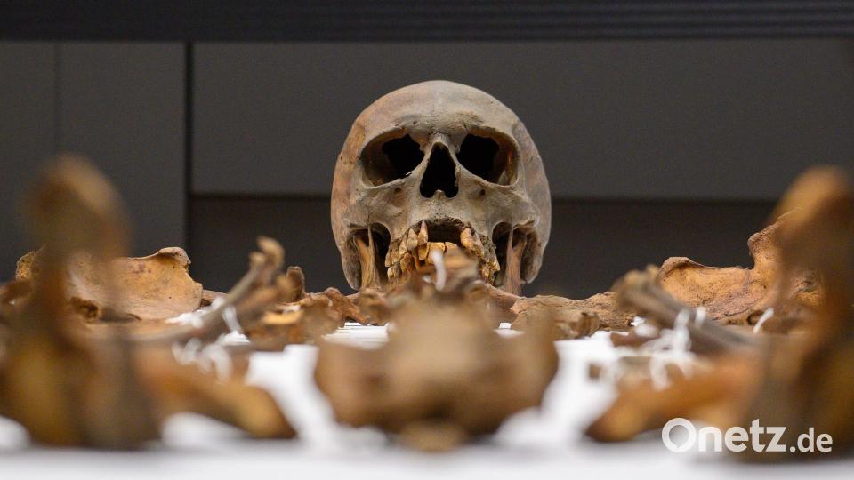 Otto der Große im Hörsaal der Uni Mainz: Neue Erkenntnisse aus seinem Grab vorgestellt Bild: Klaus-Dietmar Gabbert/dpa