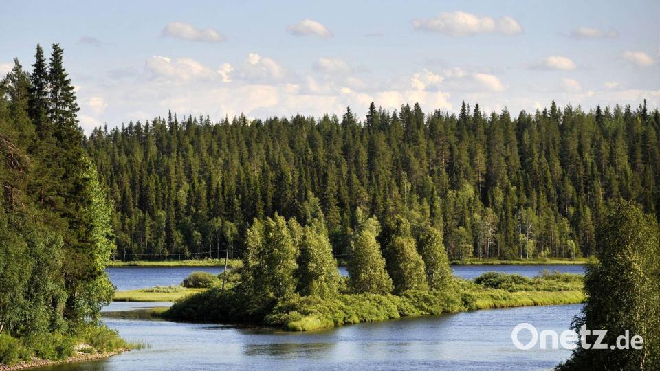Liegt es an den finnischen Wäldern, dass die Nordeuropäer so glücklich sind? (Symbolbild) Bild: Vesa Moilanen/Lehtikuva/dpa