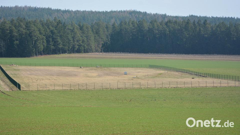 Rückläufig sind die Schüttungen im Wasserschutzgebiet Groppenheim (Bild). Verbandsvorsitzender Max Bindl hofft auf kräftige Niederschläge, damit sich die Quellen wieder etwas erholen können. Bild: jr