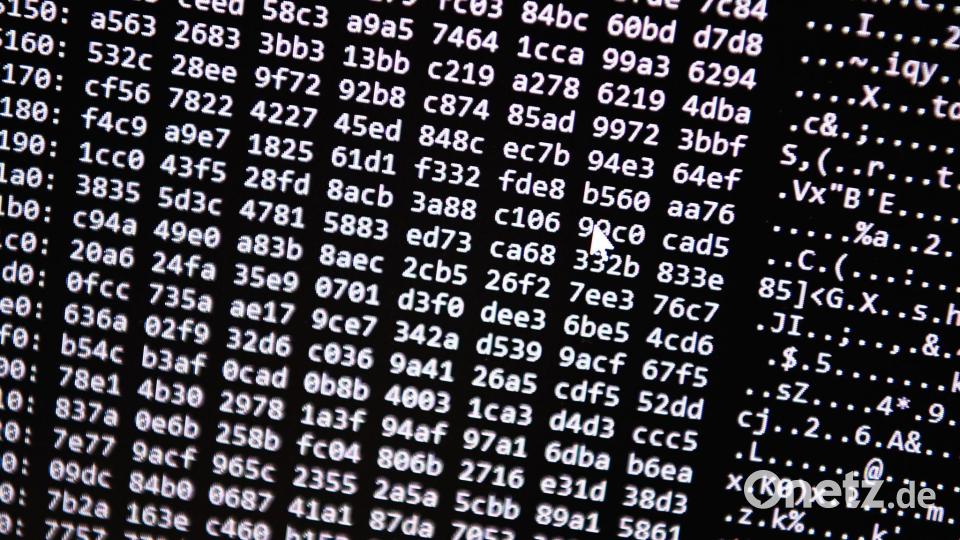 Neue Tools ermöglichten einen Schlag gegen ein Betrugs-Netzwerk im Darknet. (Symbolbild) Bild: Nicolas Armer/dpa