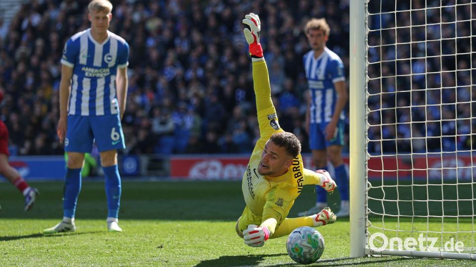 Brightons Torhüter Bart Verbruggen verhinderte zahlreiche Liverpool-Chancen. Bild: Ian Walton/AP/dpa